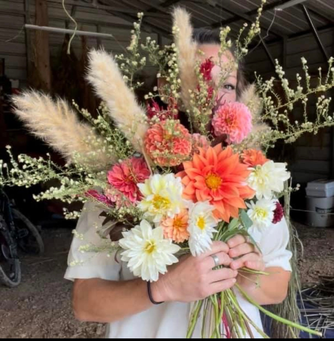Dahlia Fall Subscription (4 Bouquets)
