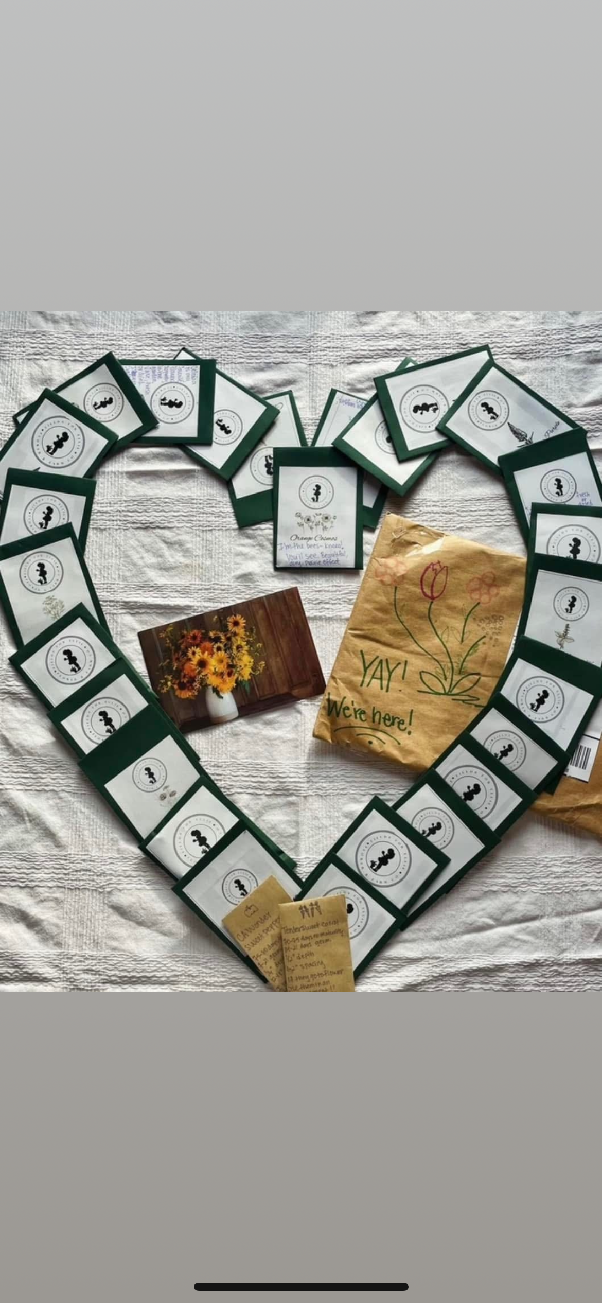Seed Workshop