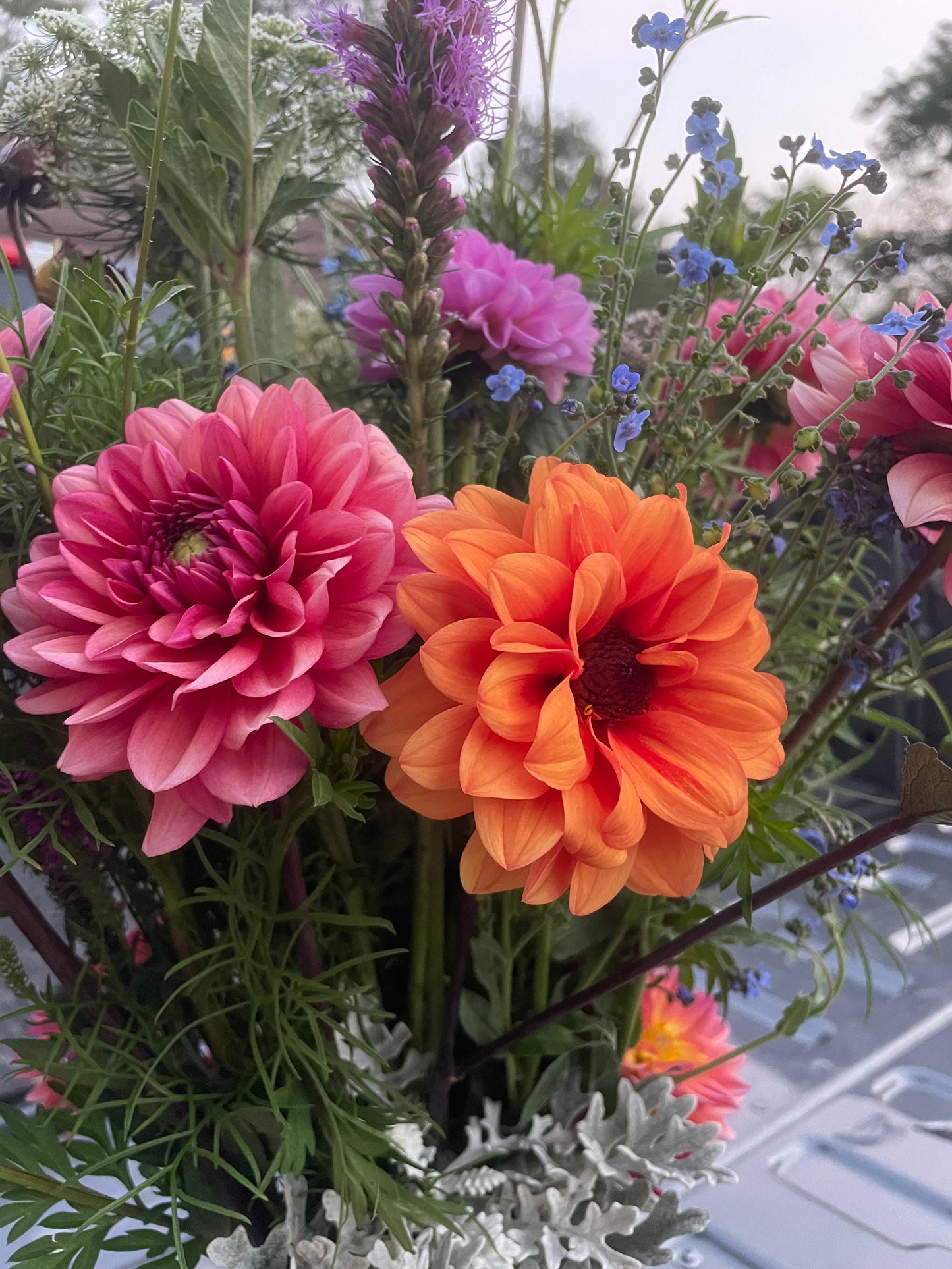 Dahlia Fall Subscription (4 Bouquets)