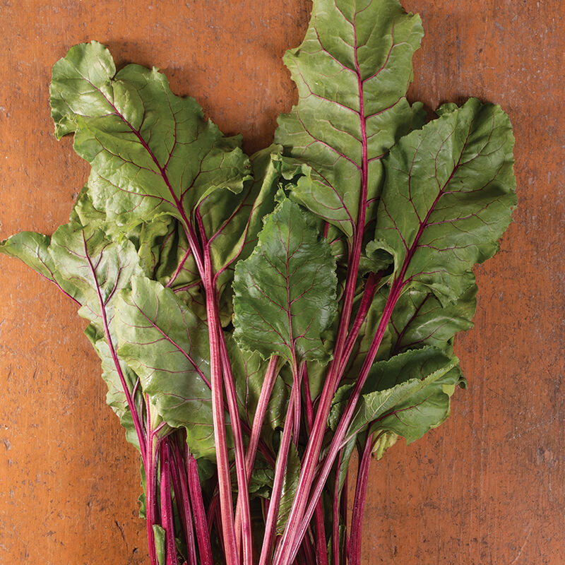 Top Early Wonder Beet