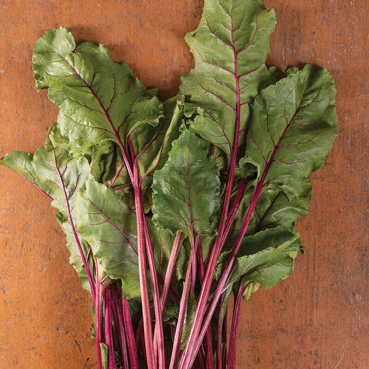 Top Early Wonder Beet