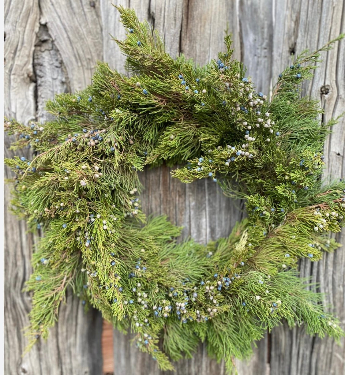 Holiday Wreaths