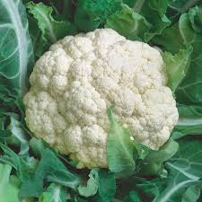 Snowball Cauliflower