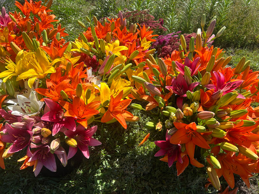 Farm Fresh Bouquet