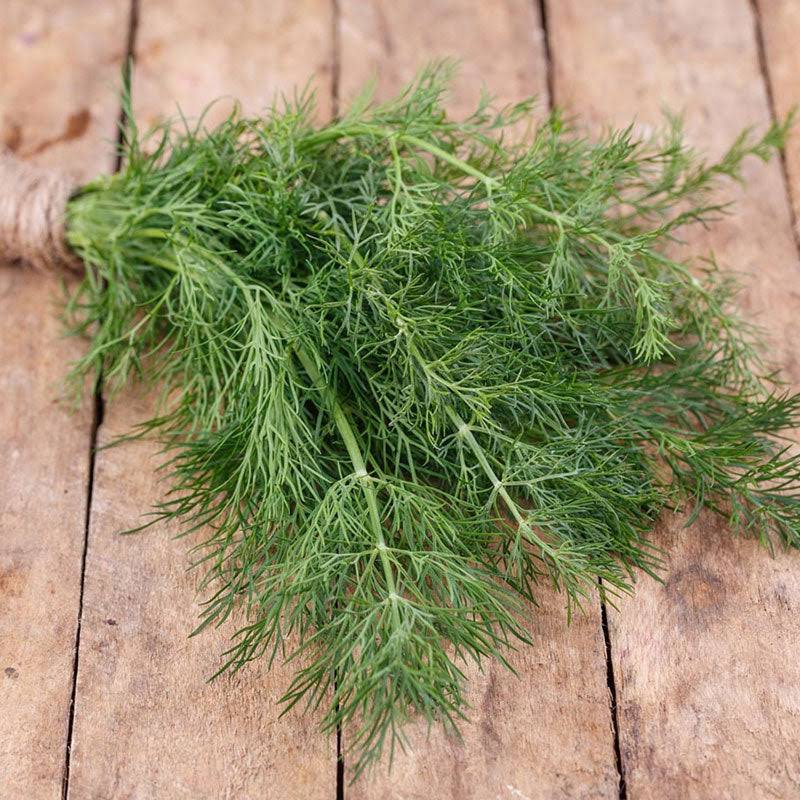 Dill