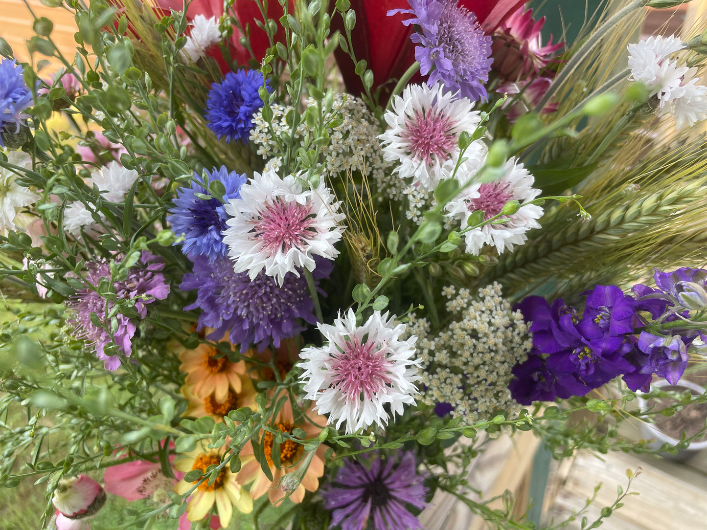 Spring Subscription April (4 Bouquets)