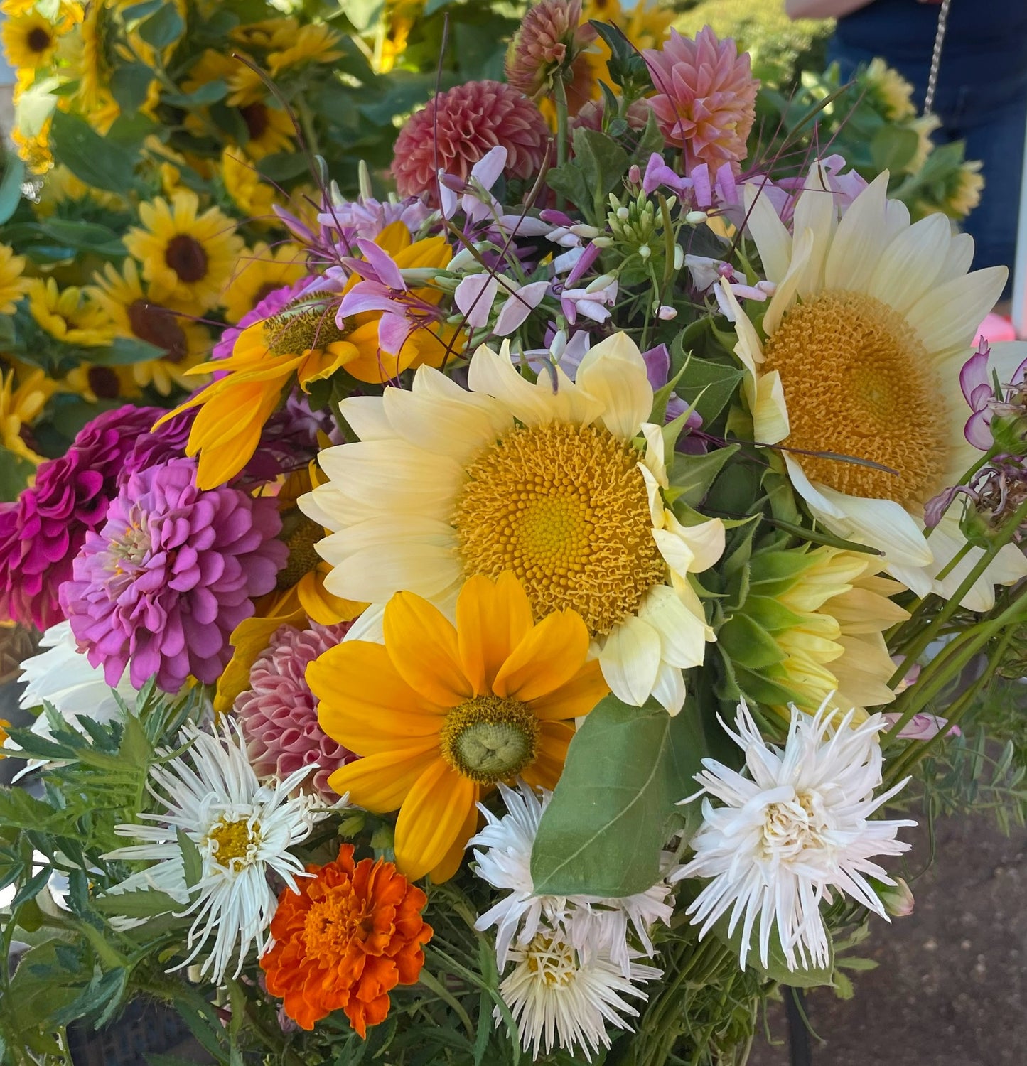 Summer Subscription July (4 Bouquets)