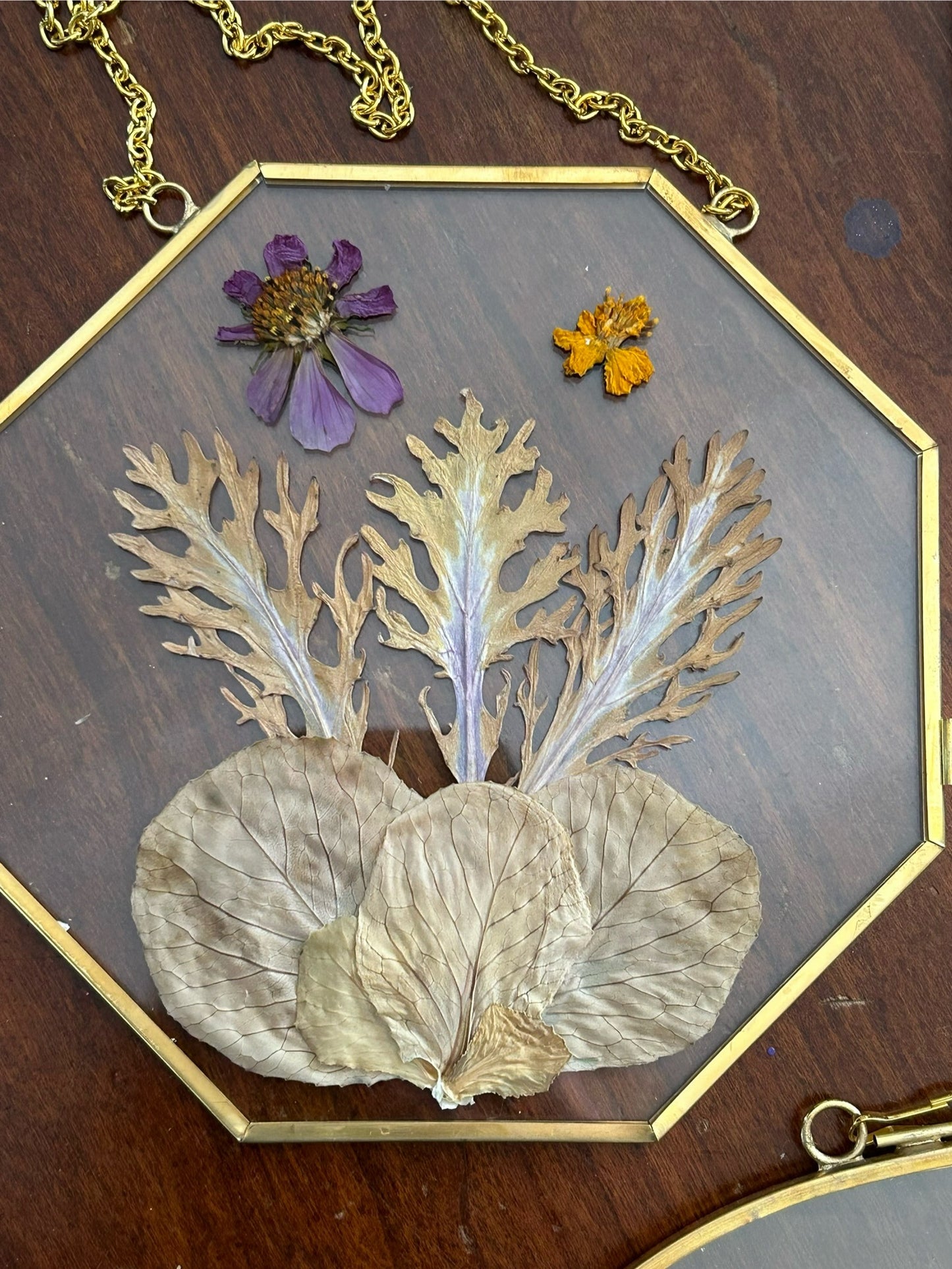 Pressed flowers