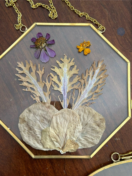 Pressed flowers