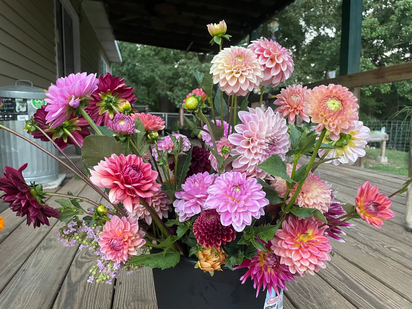 Dahlia Fall Subscription (6 Bouquets)