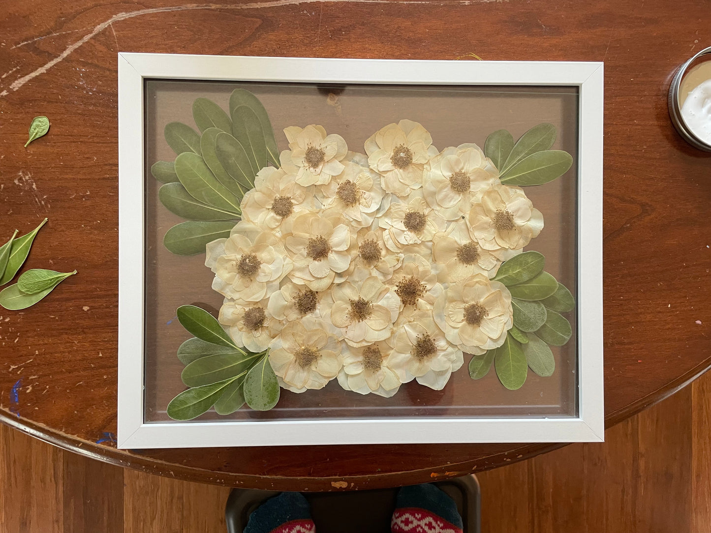 Pressed Flower Preservation