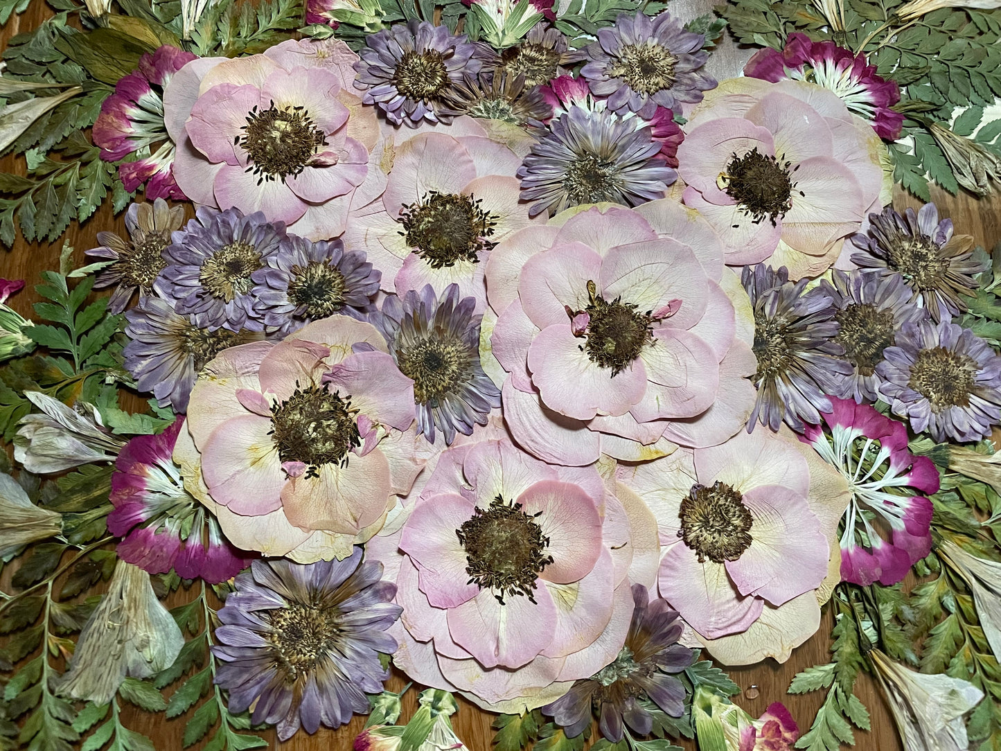 Pressed Flower Preservation