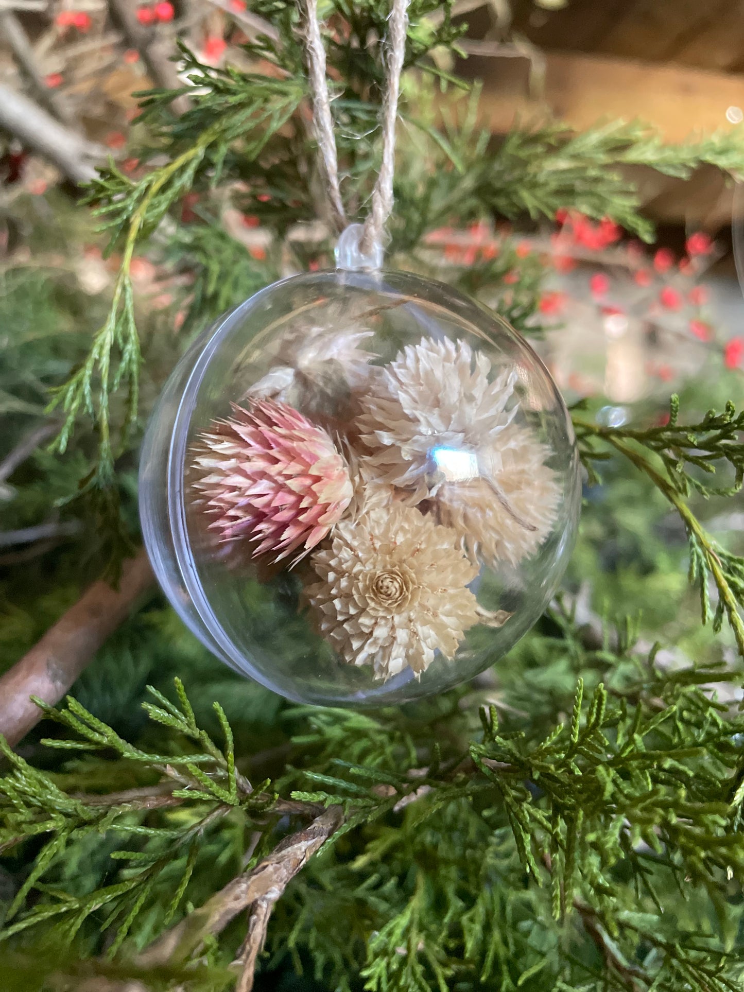 Gomphrena Ornaments