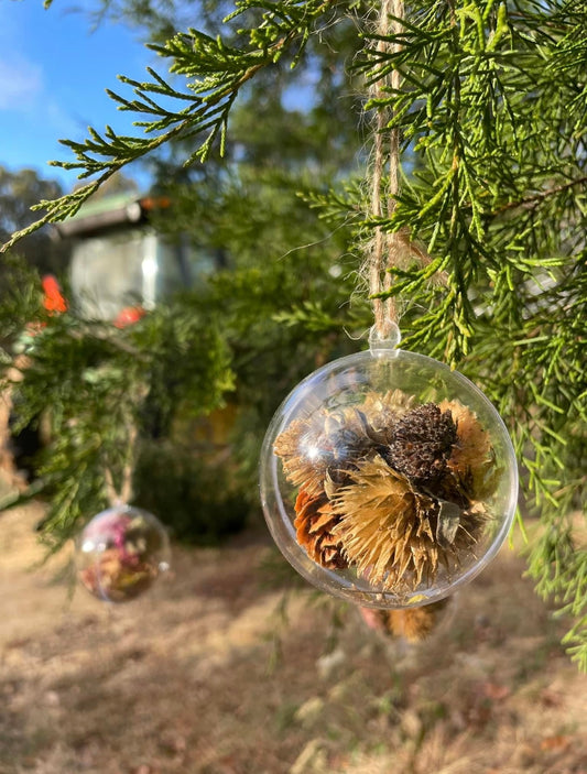 Seed Ornaments