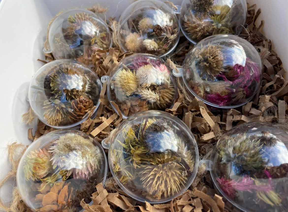 Seed Ornaments