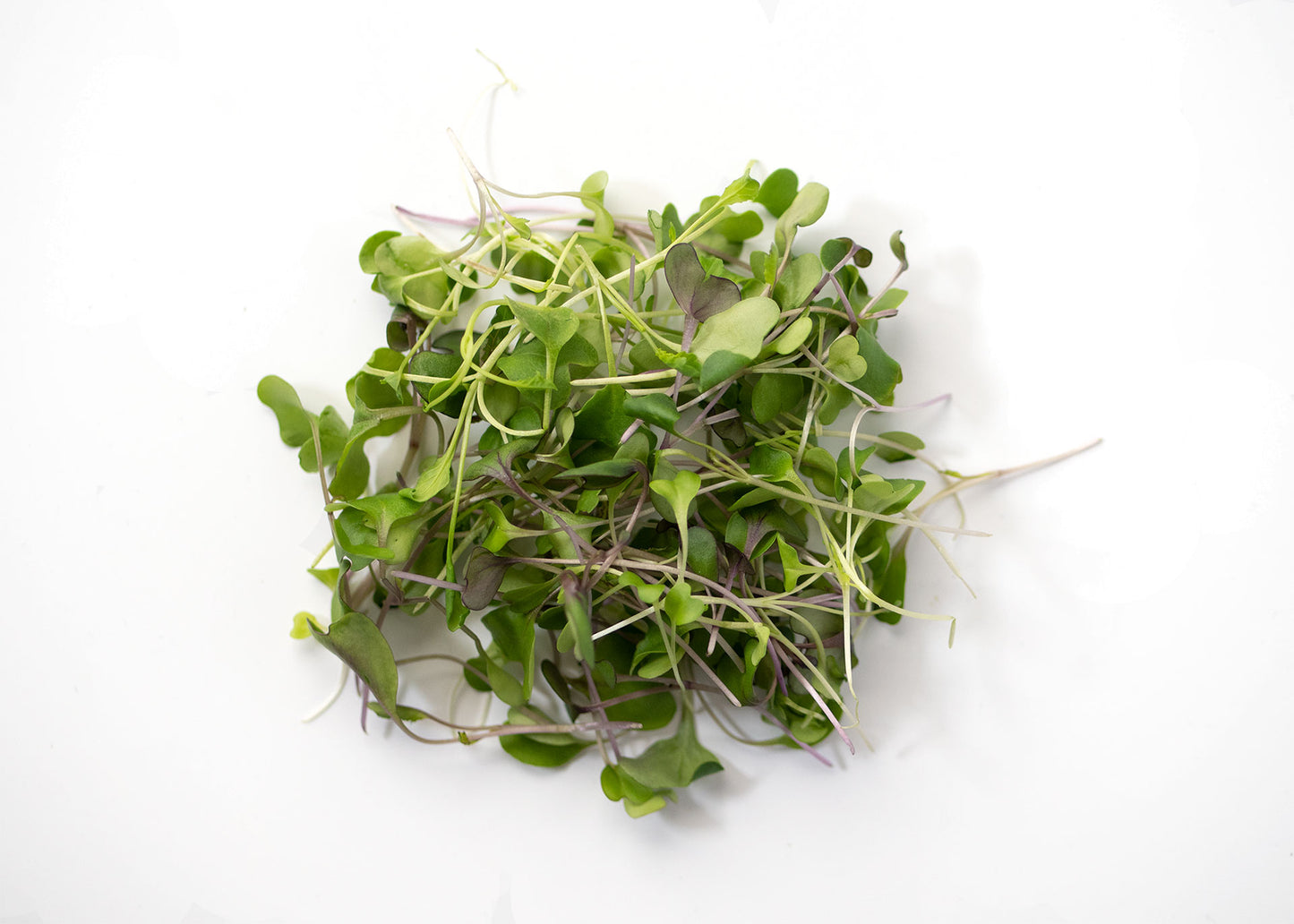 Micro Greens Mild Mix