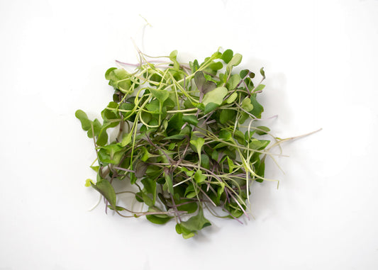 Micro Greens Mild Mix