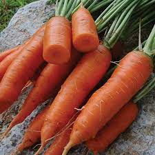 Chantenay Red Cored Carrot